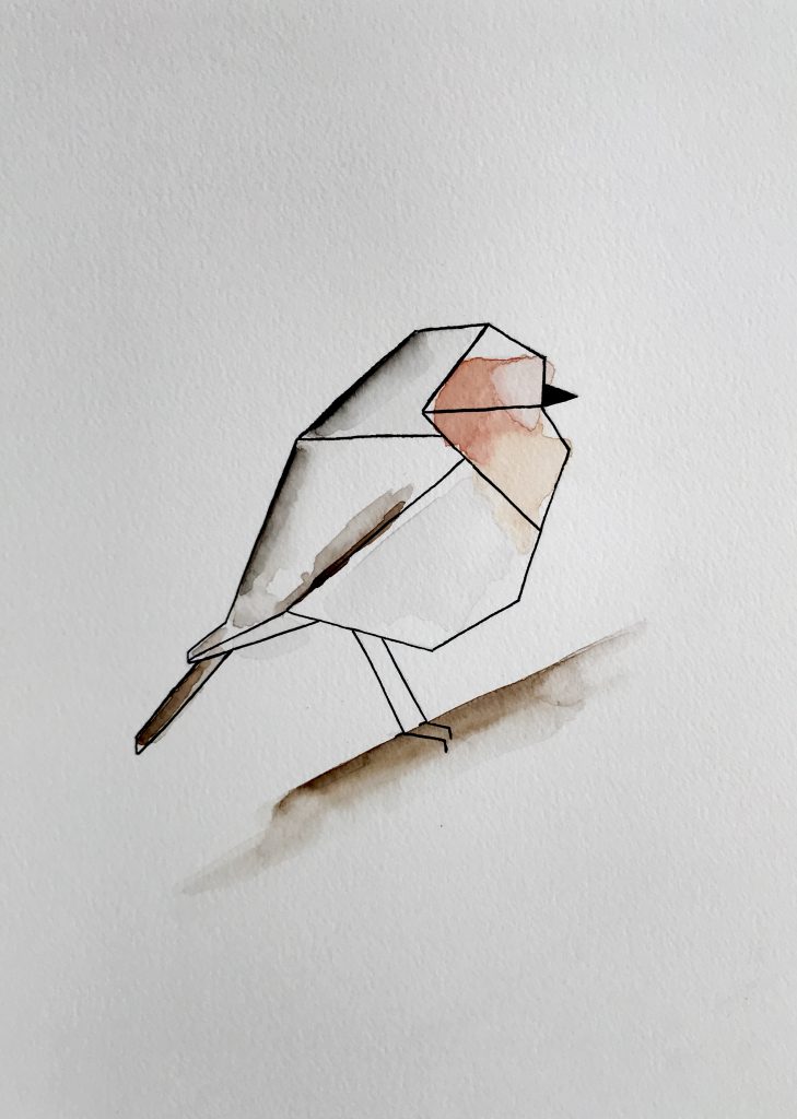 Aquarelle encre de chine illustration oiseau rouge gorge
