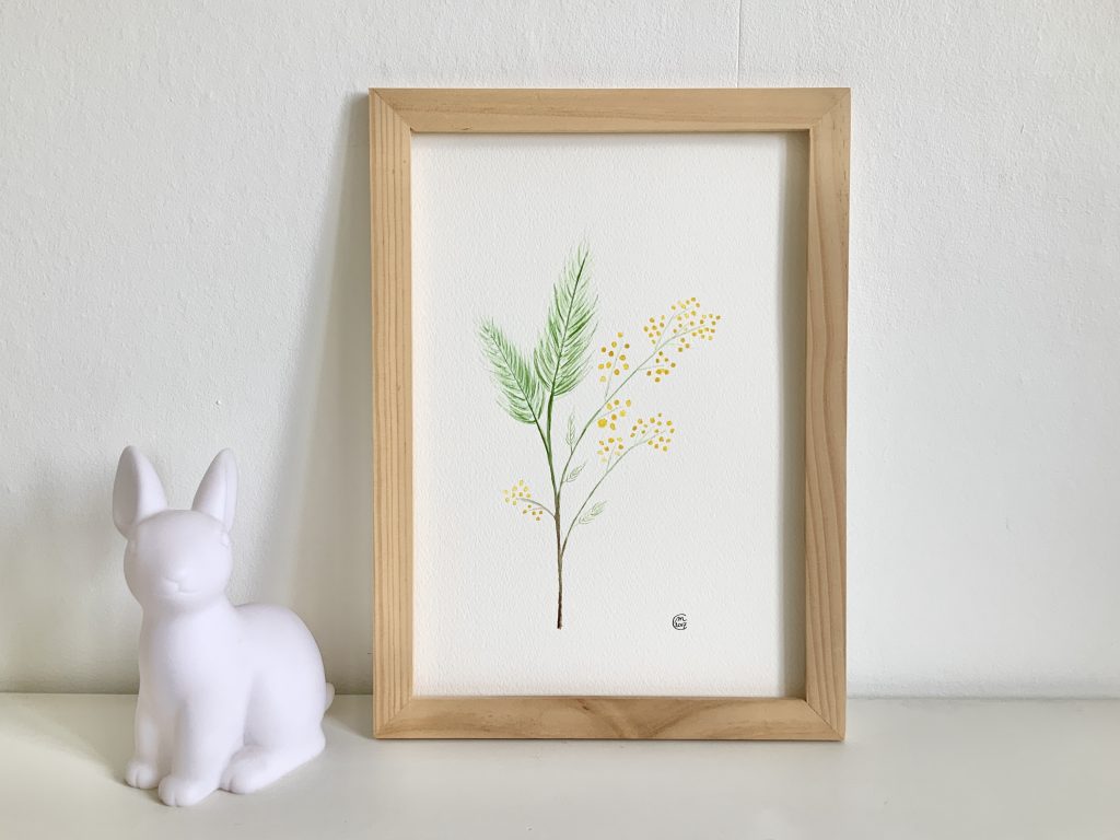 Aquarelle plante fleurs mimosa
