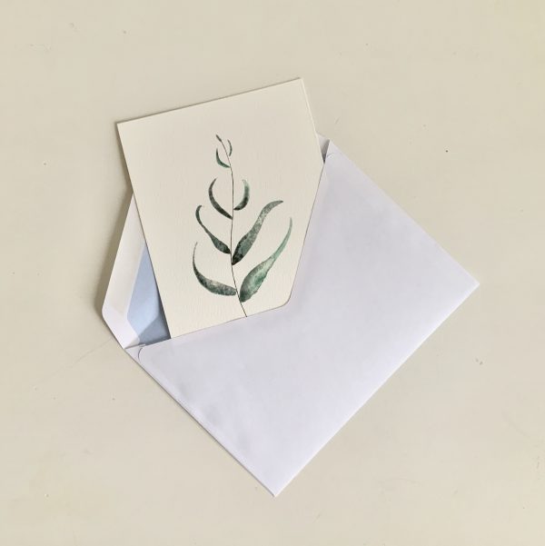 Carte postale eucalyptus et son enveloppe