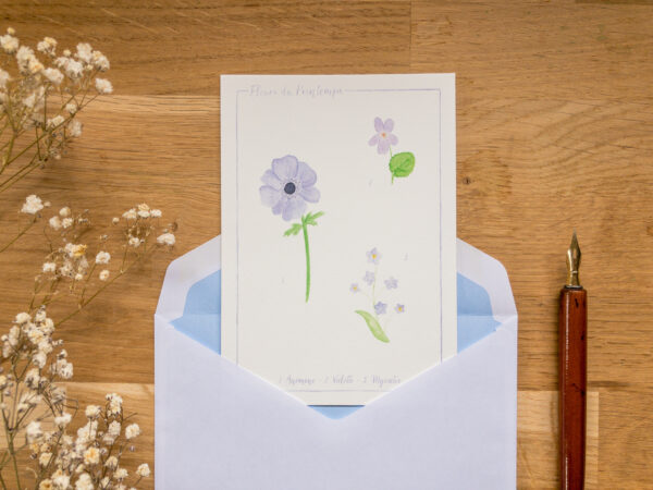 Carte Postale Fleurs du Printemps Bleues