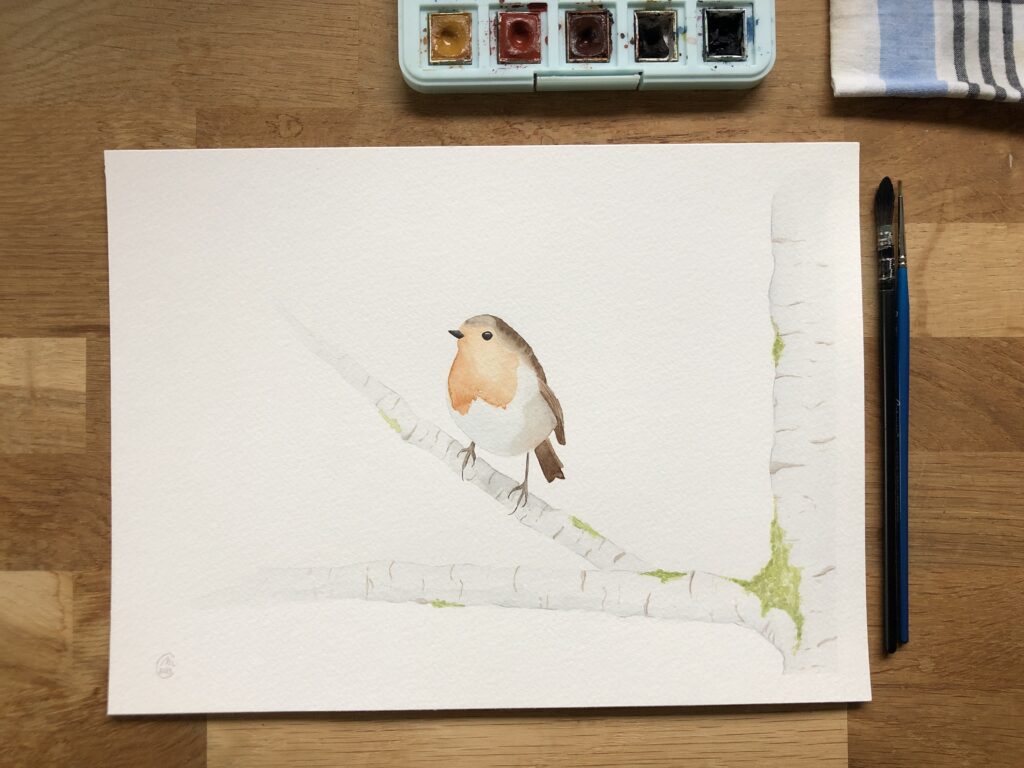 aquarelle de rouge gorge